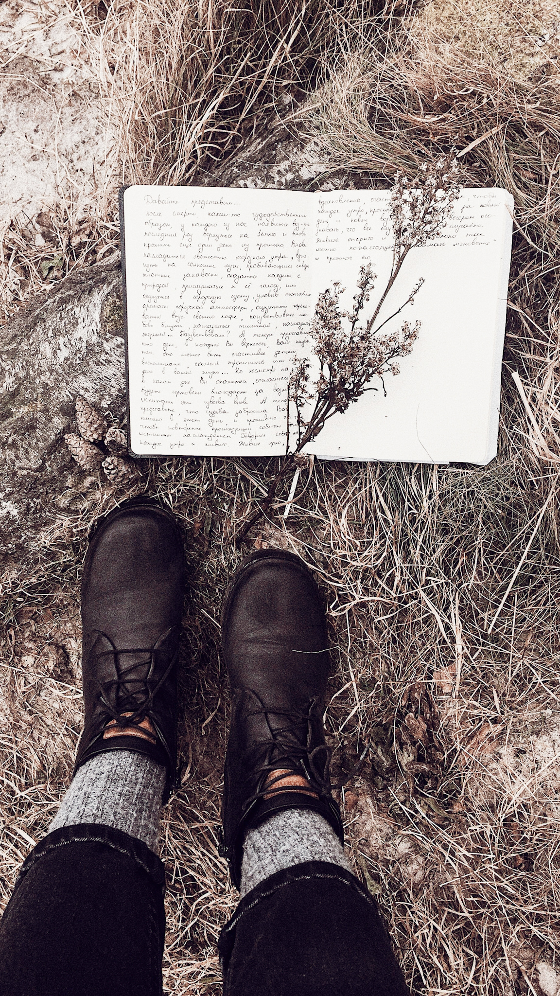 9 Powerful Lessons on How to Live in Harmony with Nature (from Japan & Scandinavia) | Mylk Alchemy 9 Powerful Lessons on How to Live in Harmony with Nature (from Japan & Scandinavia) | Mylk Alchemy