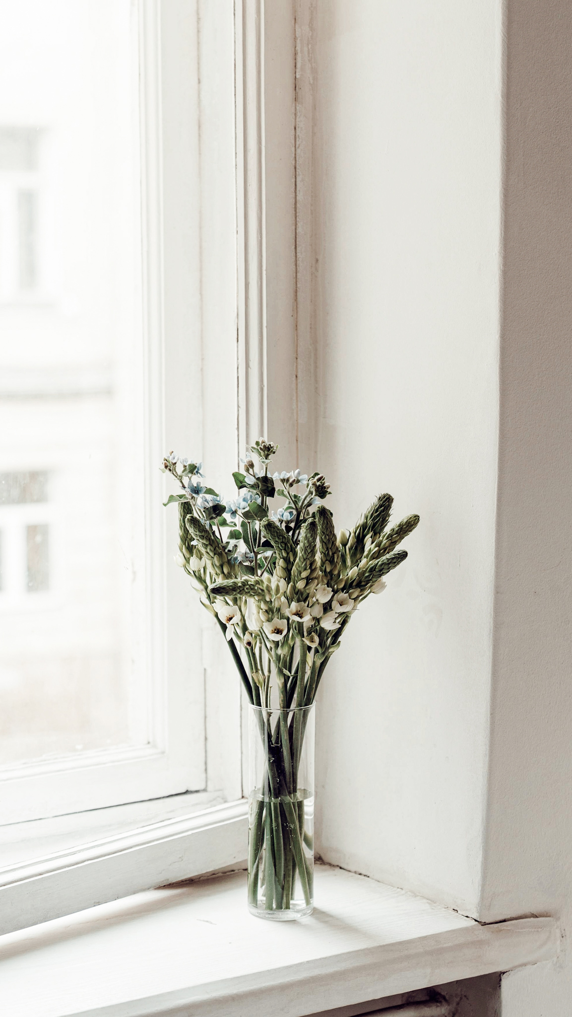 How to Live with Less Money (and Still Feel Rich in Life) | Mylk Alchemy How to Live with Less Money (and Still Feel Rich in Life) | Mylk Alchemy