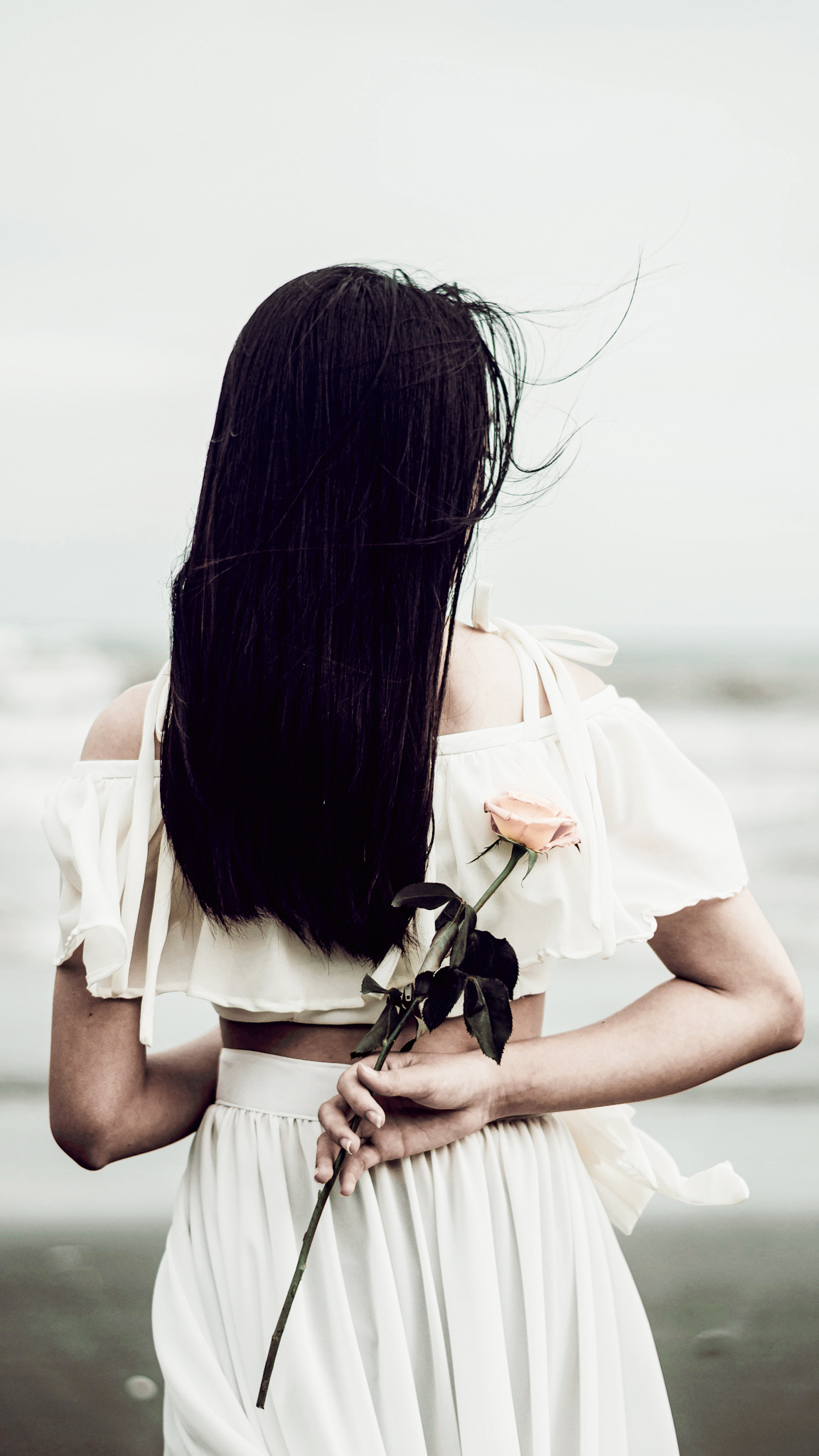 6 Herbs & Adaptogens for Hair Growth That Actually Work | Mylk Alchemy 6 Herbs & Adaptogens for Hair Growth That Actually Work | Mylk Alchemy