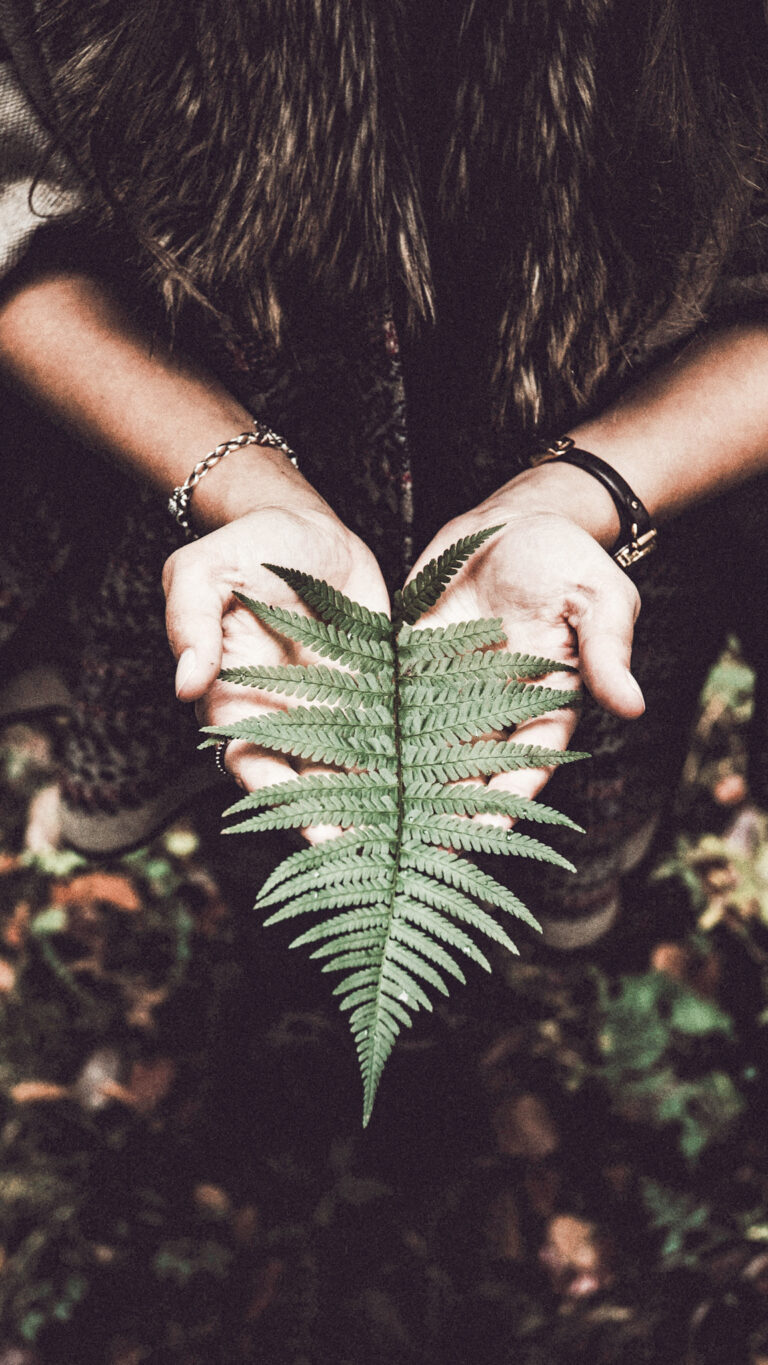 The Surprising Benefits of Forest Bathing