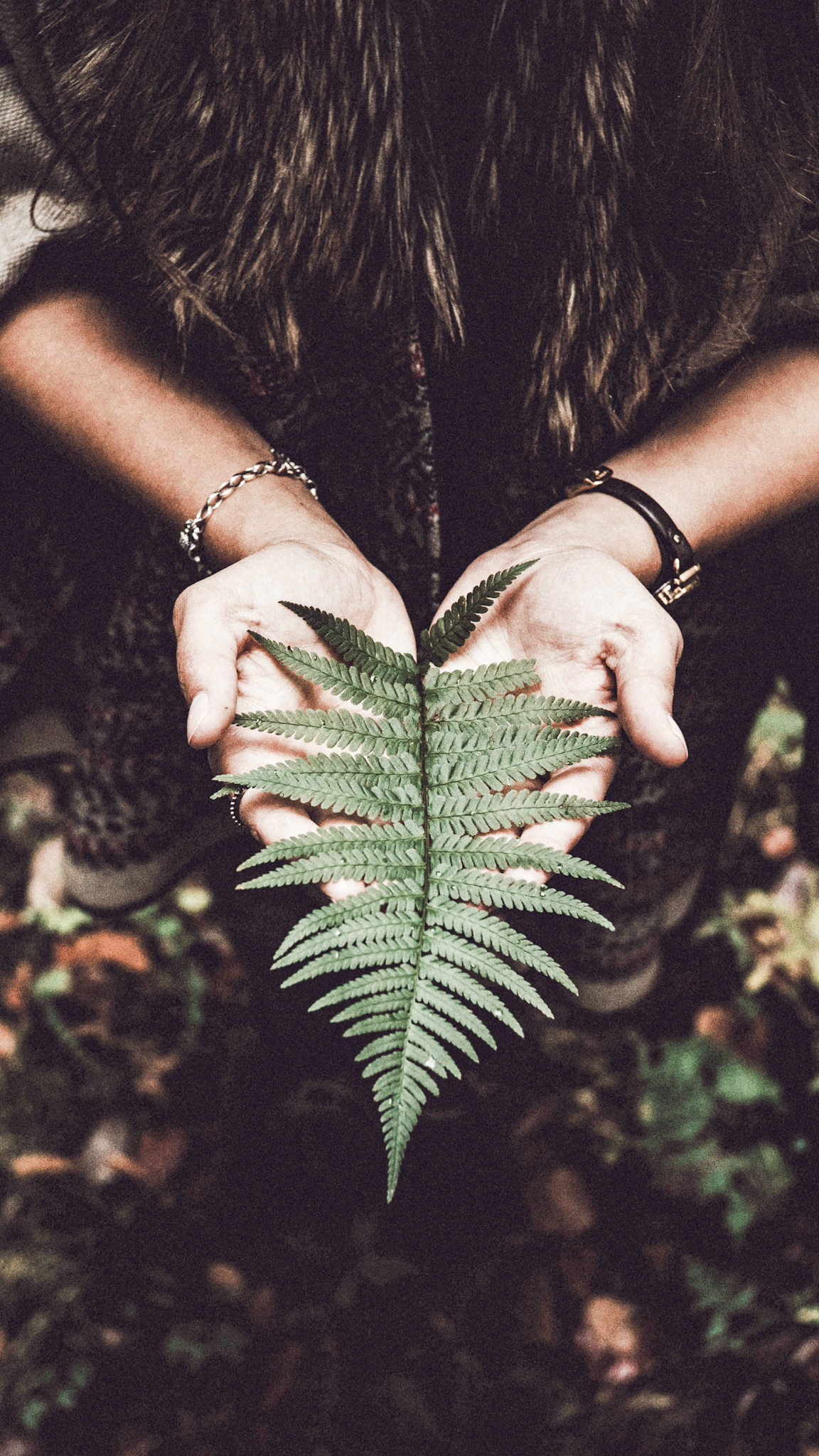 The Surprising Benefits of Forest Bathing | Mylk Alchemy The Surprising Benefits of Forest Bathing | Mylk Alchemy