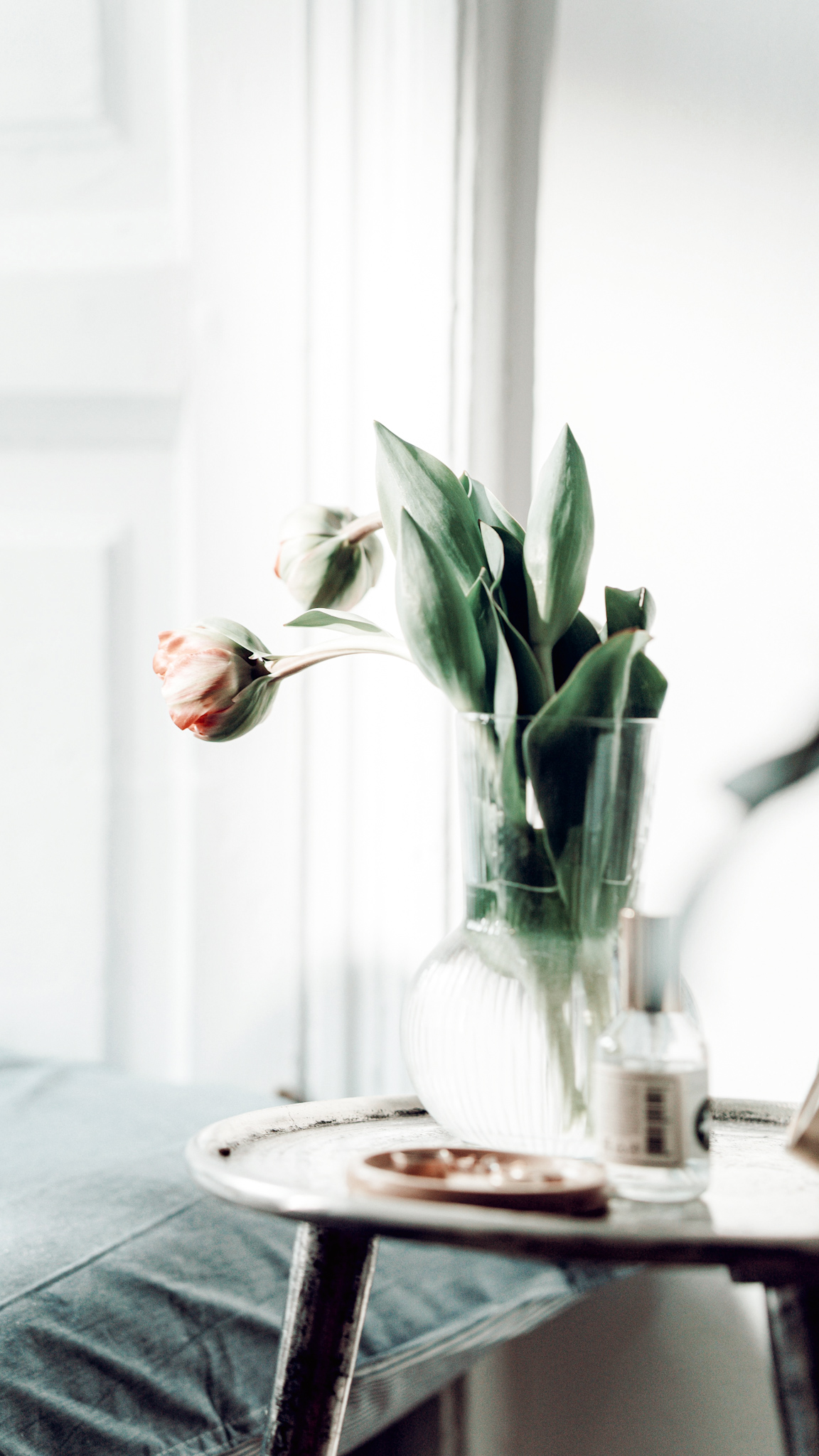 Somatic Healing for Stress Relief: What It Is and 5 Simple Practices That Work | Mylk Alchemy Somatic Healing for Stress Relief: What It Is and 5 Simple Practices That Work | Mylk Alchemy