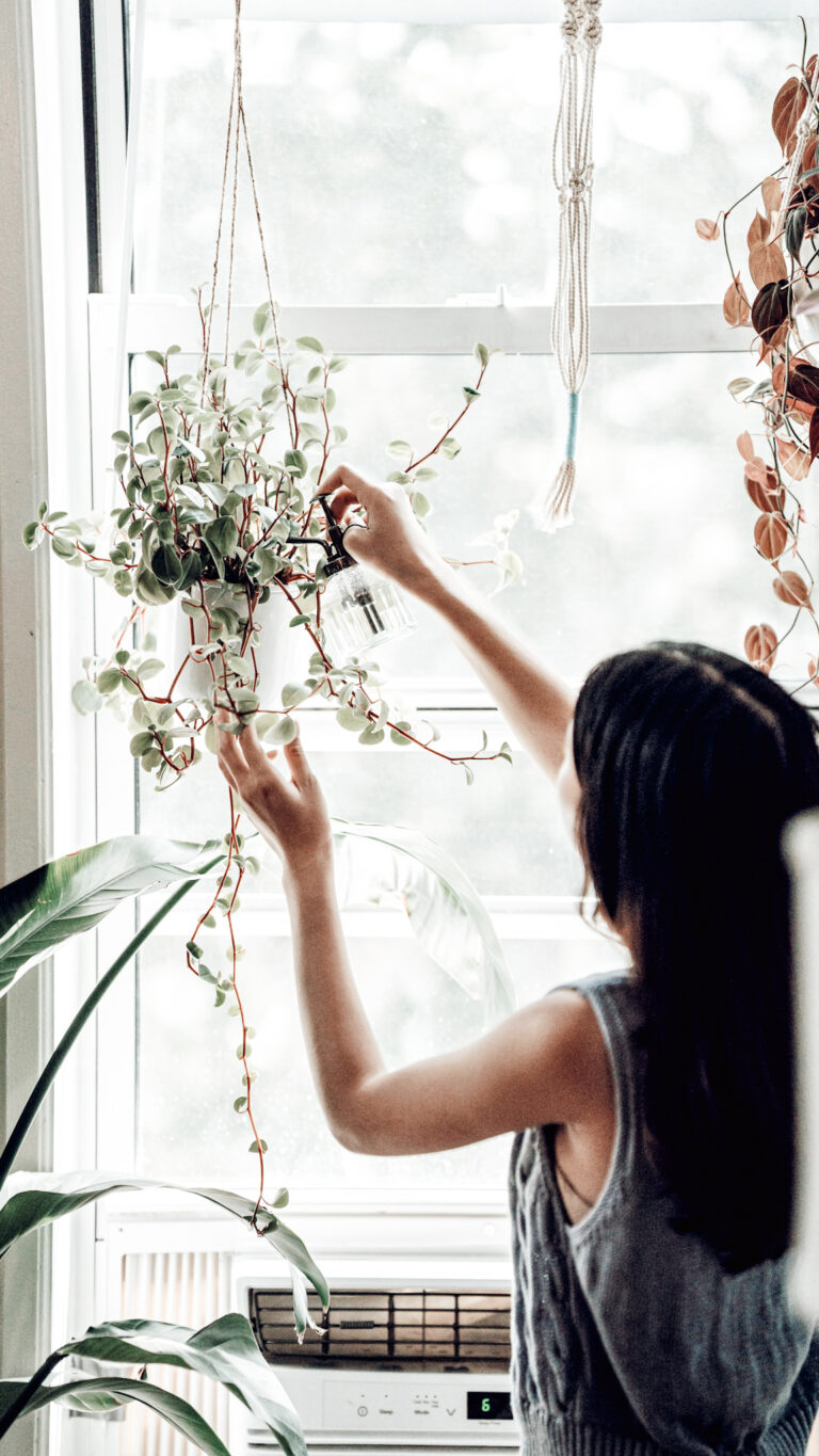 How to Get Rid of Gnats in the House Quickly