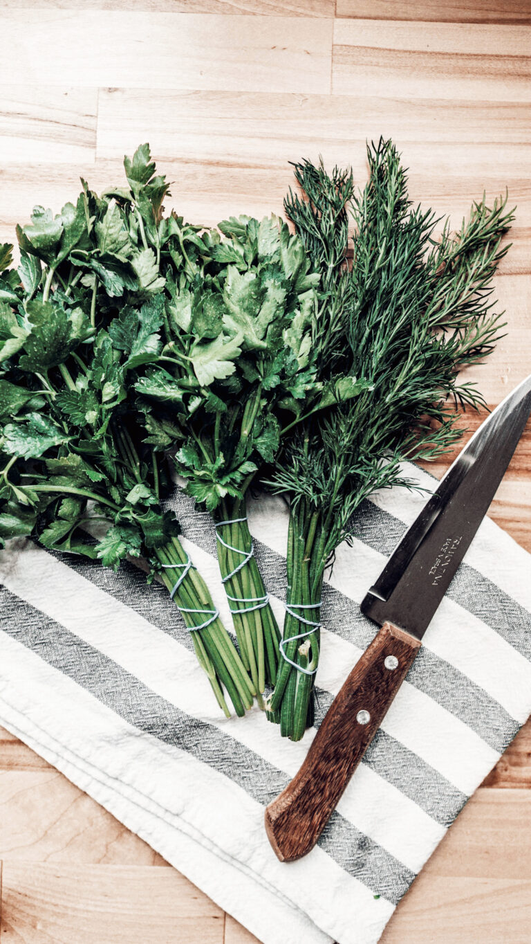 Best Indoor Herb Garden Kit