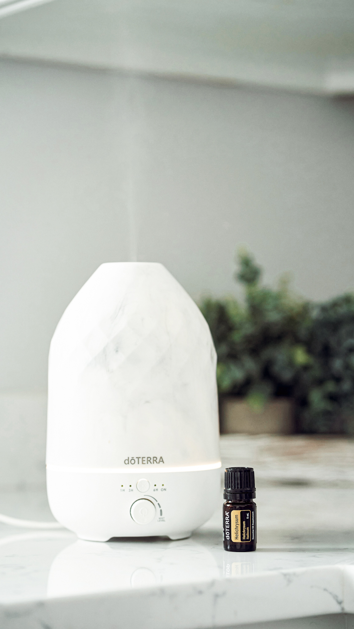 Best Waterless Oil Diffusers for Large Rooms |