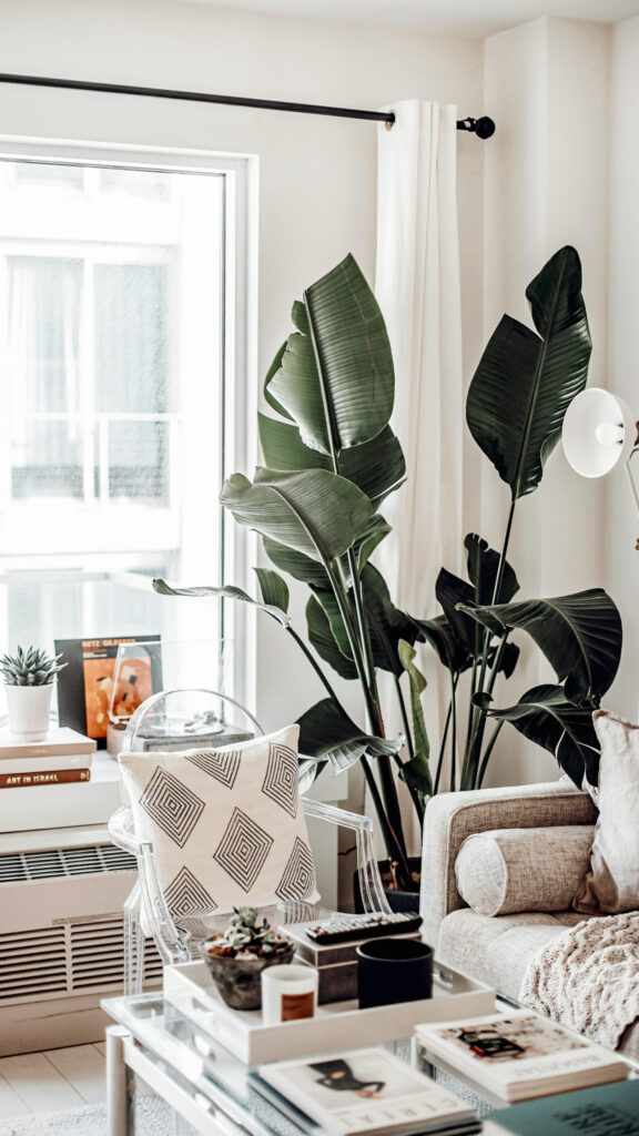 10 Indoor Plant Styling Ideas That’ll Instantly Elevate Your Home |