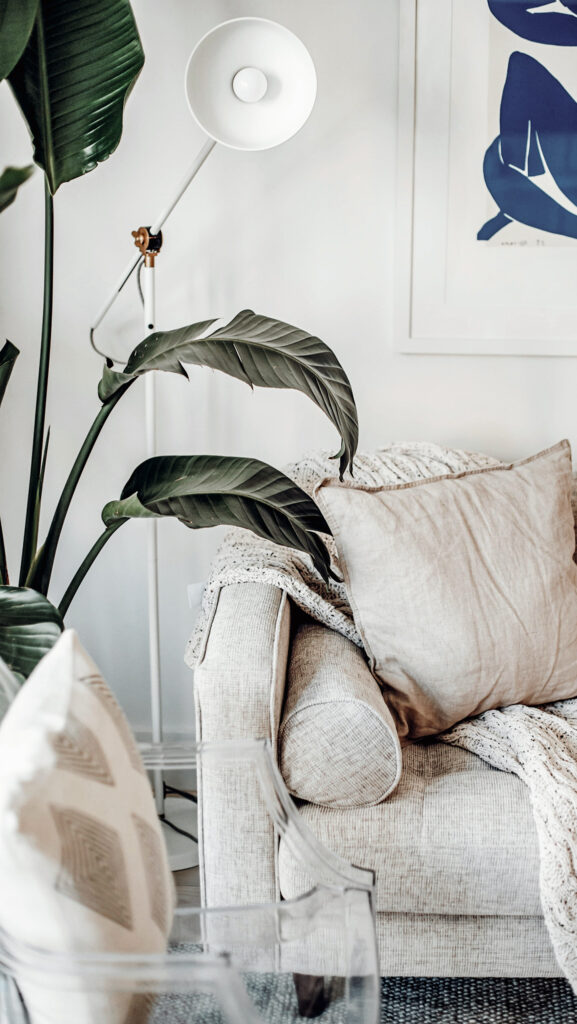 10 Indoor Plant Styling Ideas That’ll Instantly Elevate Your Home |