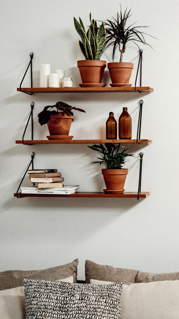 10 Indoor Plant Styling Ideas That’ll Instantly Elevate Your Home |