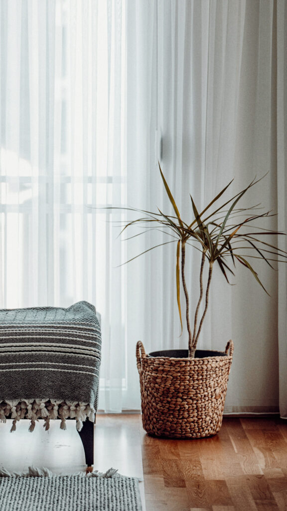 10 Indoor Plant Styling Ideas That’ll Instantly Elevate Your Home |