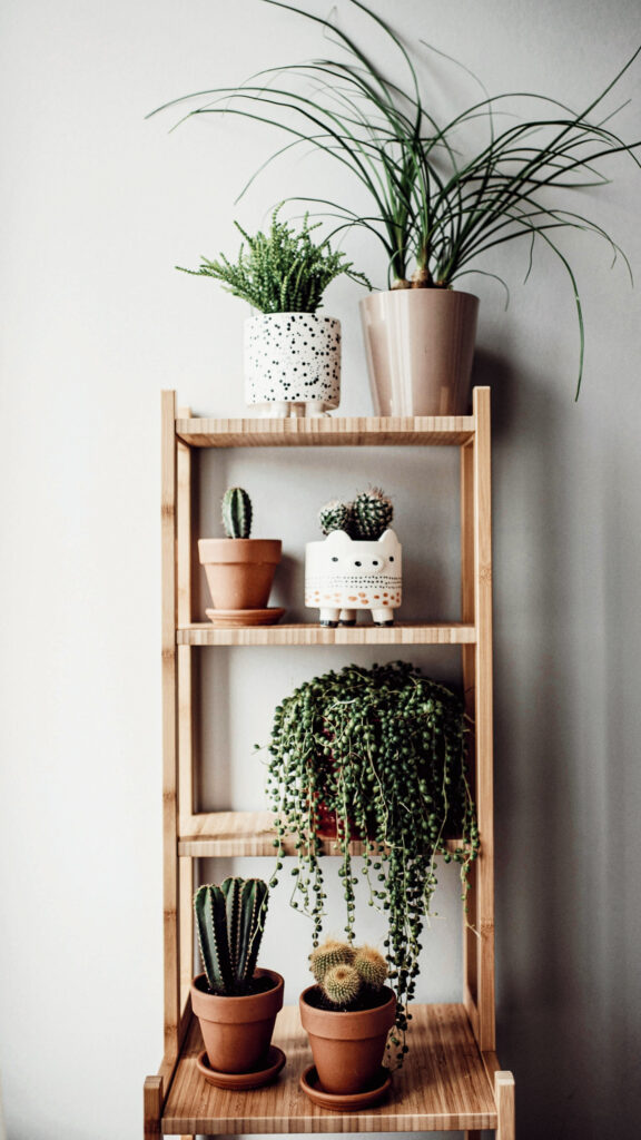 10 Indoor Plant Styling Ideas That’ll Instantly Elevate Your Home |