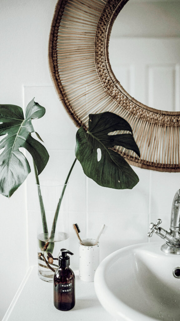 10 Indoor Plant Styling Ideas That’ll Instantly Elevate Your Home |