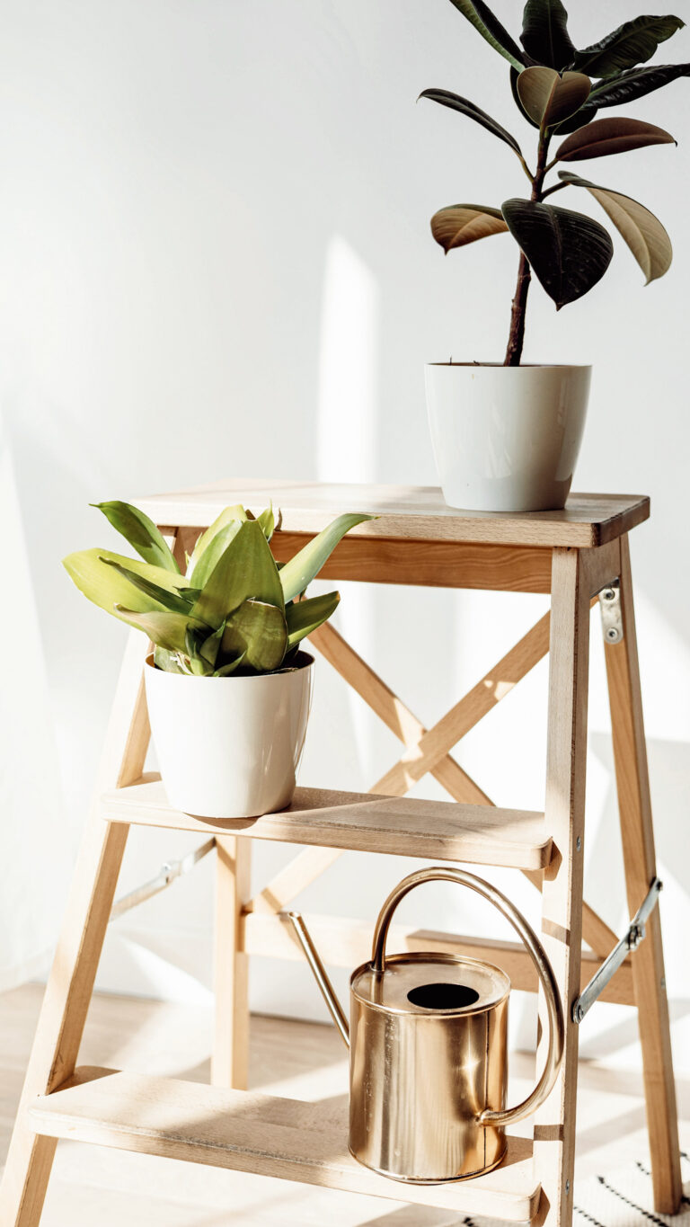 10 Indoor Plant Styling Ideas That’ll Instantly Elevate Your Home