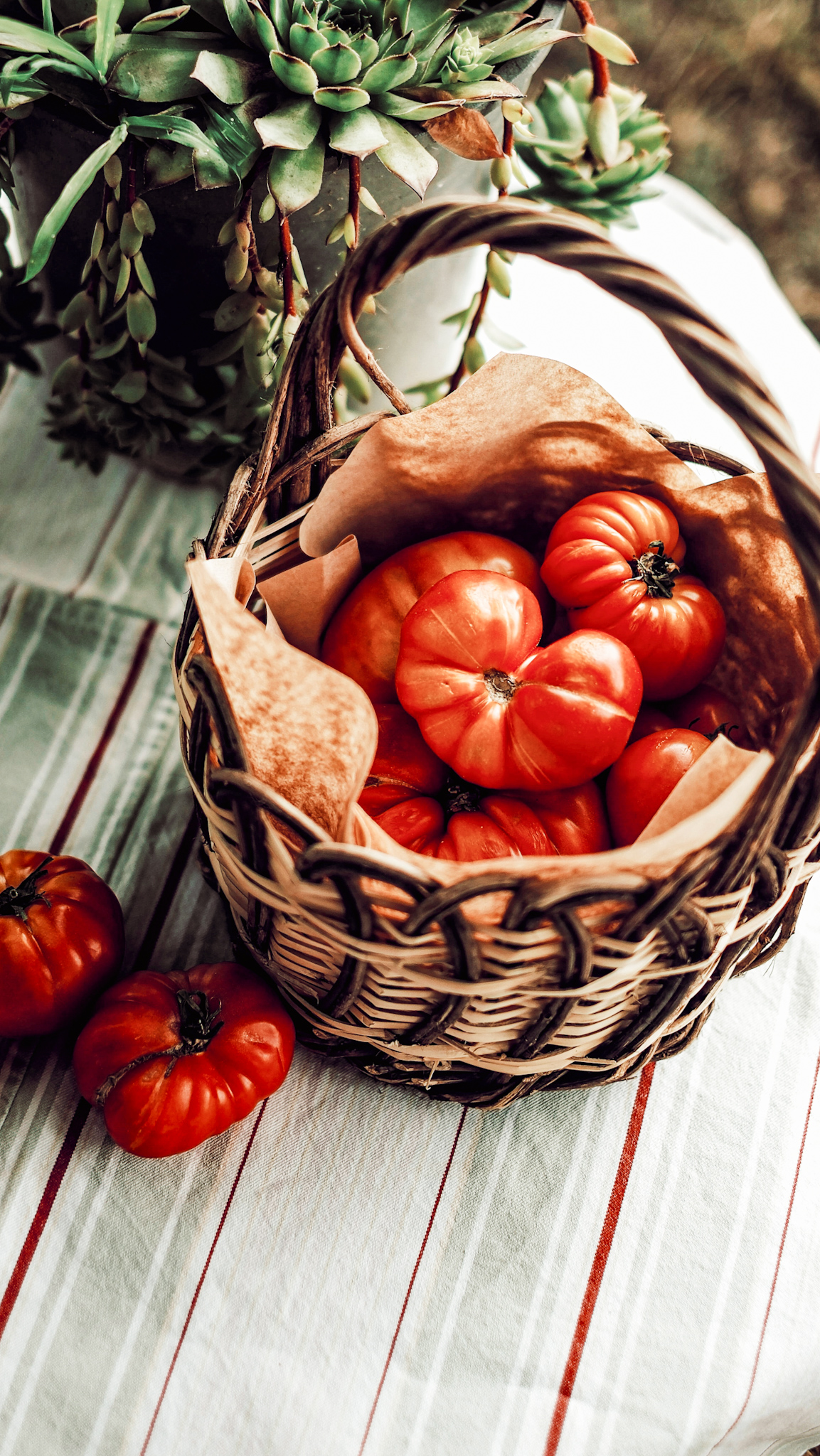 How to Plant Heirloom Tomatoes |