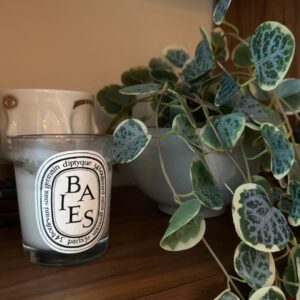 Diptyque Baies Candle