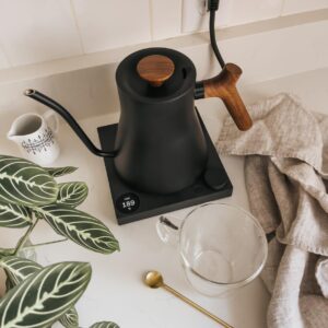 Electric Gooseneck Kettle