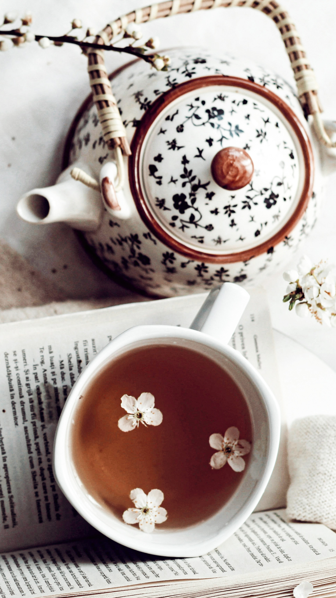 10 Best Herbalism Books for Beginners To Start Your Natural Healing Journey |