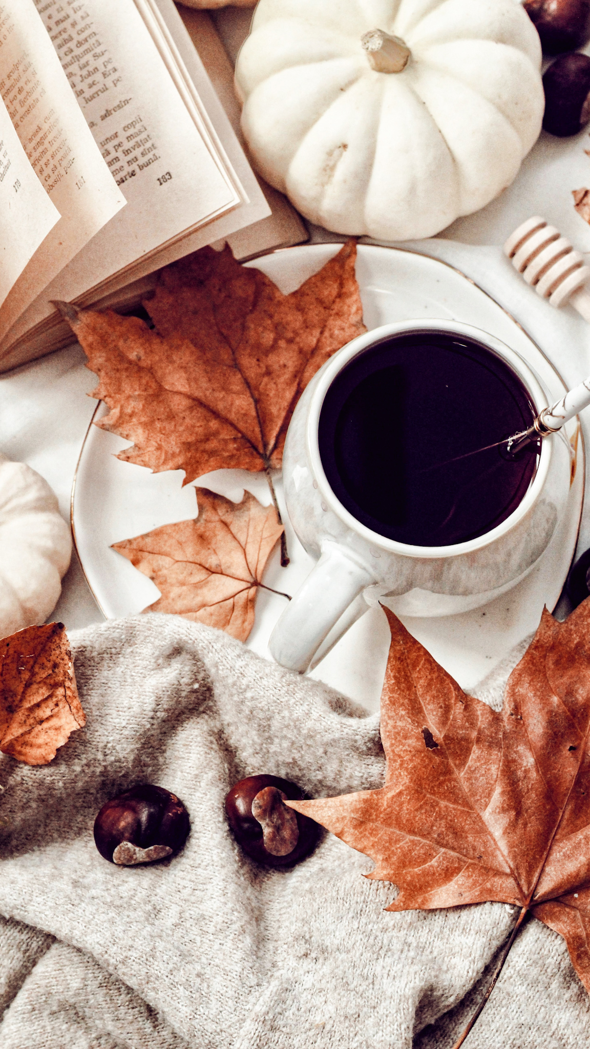 30 Free Ways to Romanticize Fall | 30 Free Ways to Romanticize Fall |