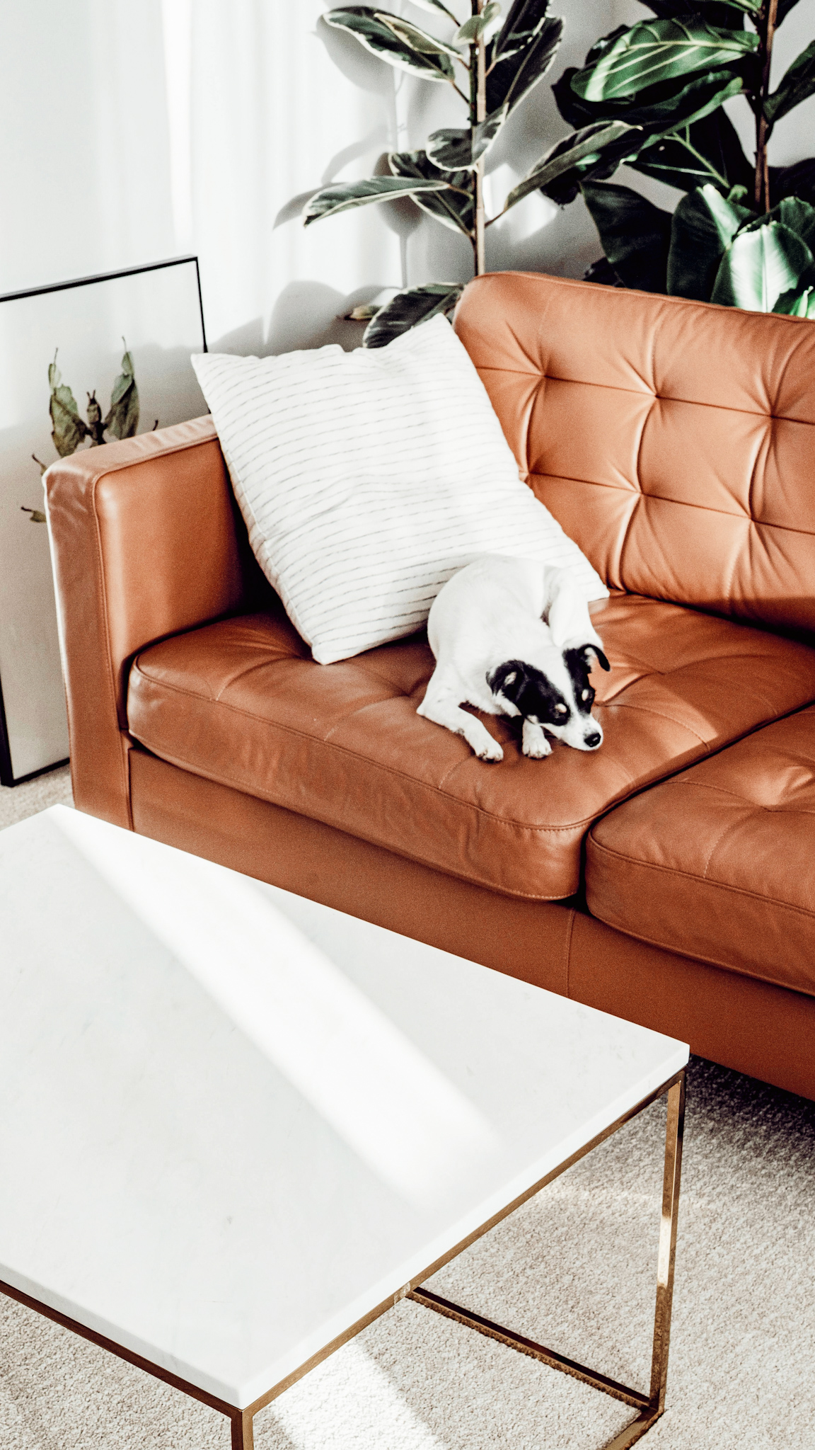 How to Be More Present in Everyday Moments |