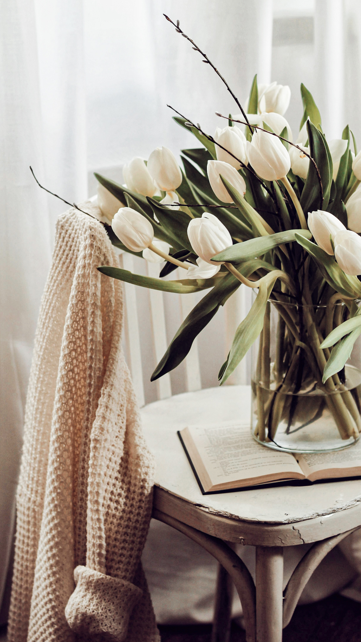 Somatic Morning Routine: How to Reset Your Nervous System in 10 Minutes |