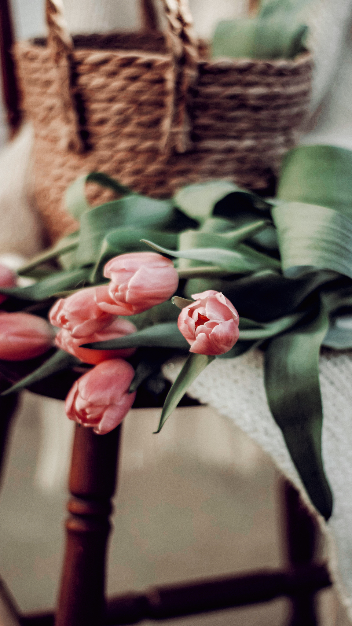 Clove Water Benefits for Women |